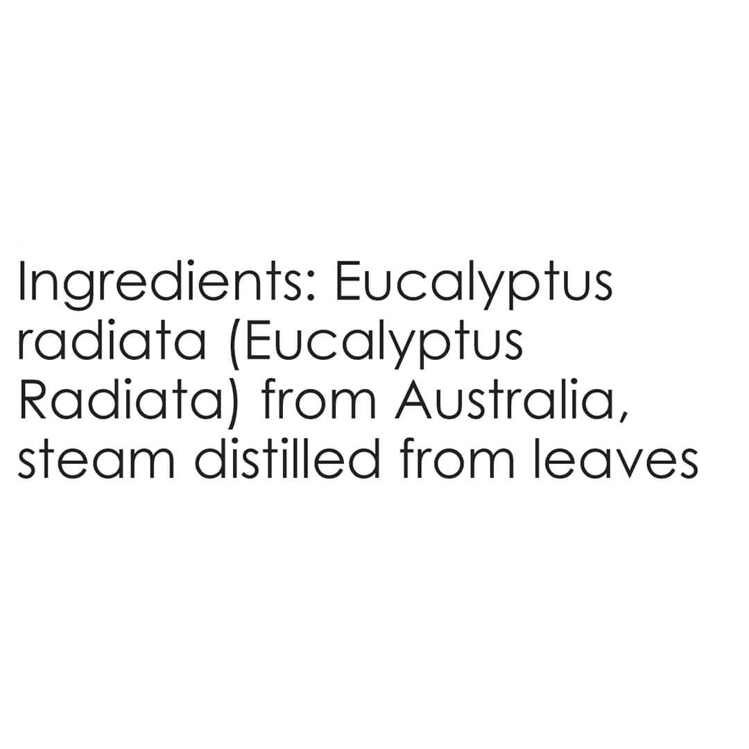 Eucalyptus Radiata Information Panel