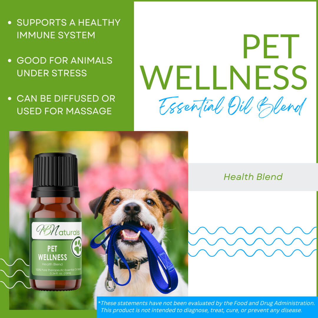 Pet Wellness